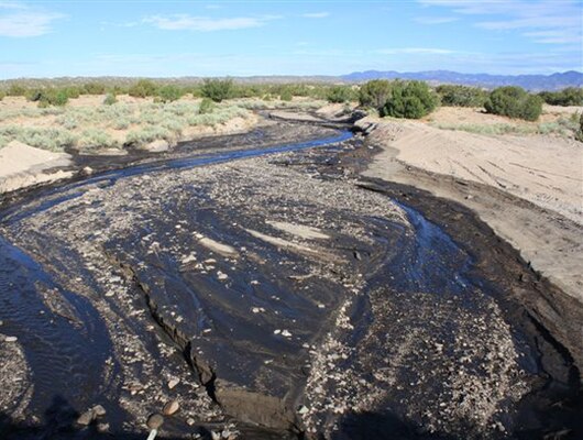 Ash and debris in a tributary of the Rio Grande.
