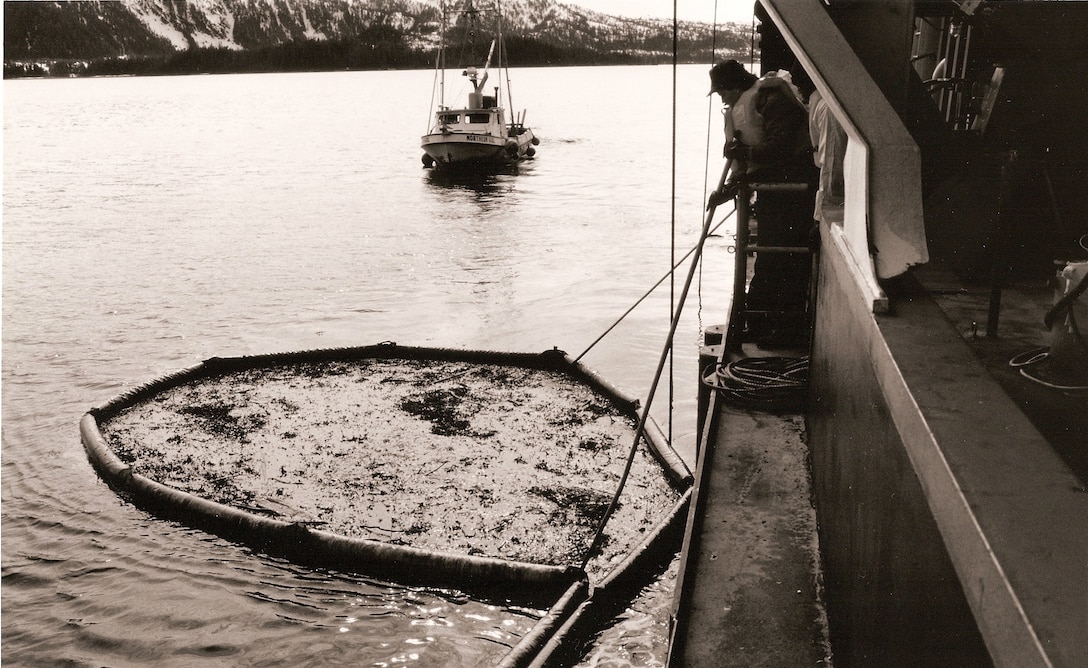 Twenty years have passed since the tanker Exxon Valdez ran aground on Bligh Reef in Prince William Sound, less than two hours from the Valdez oil terminal, with a full load of crude oil March 24, 1989. The Exxon Valdez spilled nearly 11 million gallons of Alaskan crude oil into the sound. The resulting oil slick spread west across Prince William Sound and into the Gulf of Alaska. Oil patches from the spill were eventually sighted in the Shelikof Straits more than 300 miles from Bligh Reef. The Alaska District became an operational element of Joint Task Force-Alaska, which was mobilized to assist in the spill’s cleanup. The task force formed a crisis management team and opened the Emergency Operations Center (EOC) April 6. Oil collected by small skimmers and fishing boats was contained in circles of boom material nicknamed “doughnuts.” Oil and contaminated solids from the doughnuts were then pumped aboard two Portland District dredges— the Essayons and Yaquina— brought up in mid-April where the oil was stored in the dredges until it could be unloaded into barges. Neither dredge was equipped to work with oil, so drag heads were modified by reversing them to pull in oil from the surface of the water instead of using them in the traditional way of vacuuming up from a channel bottom. The dredges recovered nearly 380,000 gallons of oil, and the Essayons also stored and transported 180 cubic yards of contaminated solids collected from Shelikof Straits shoreline. The EOC operated for 65 days, most of the time staffed 24 hours per day, from April 6 to June 9, 1989.