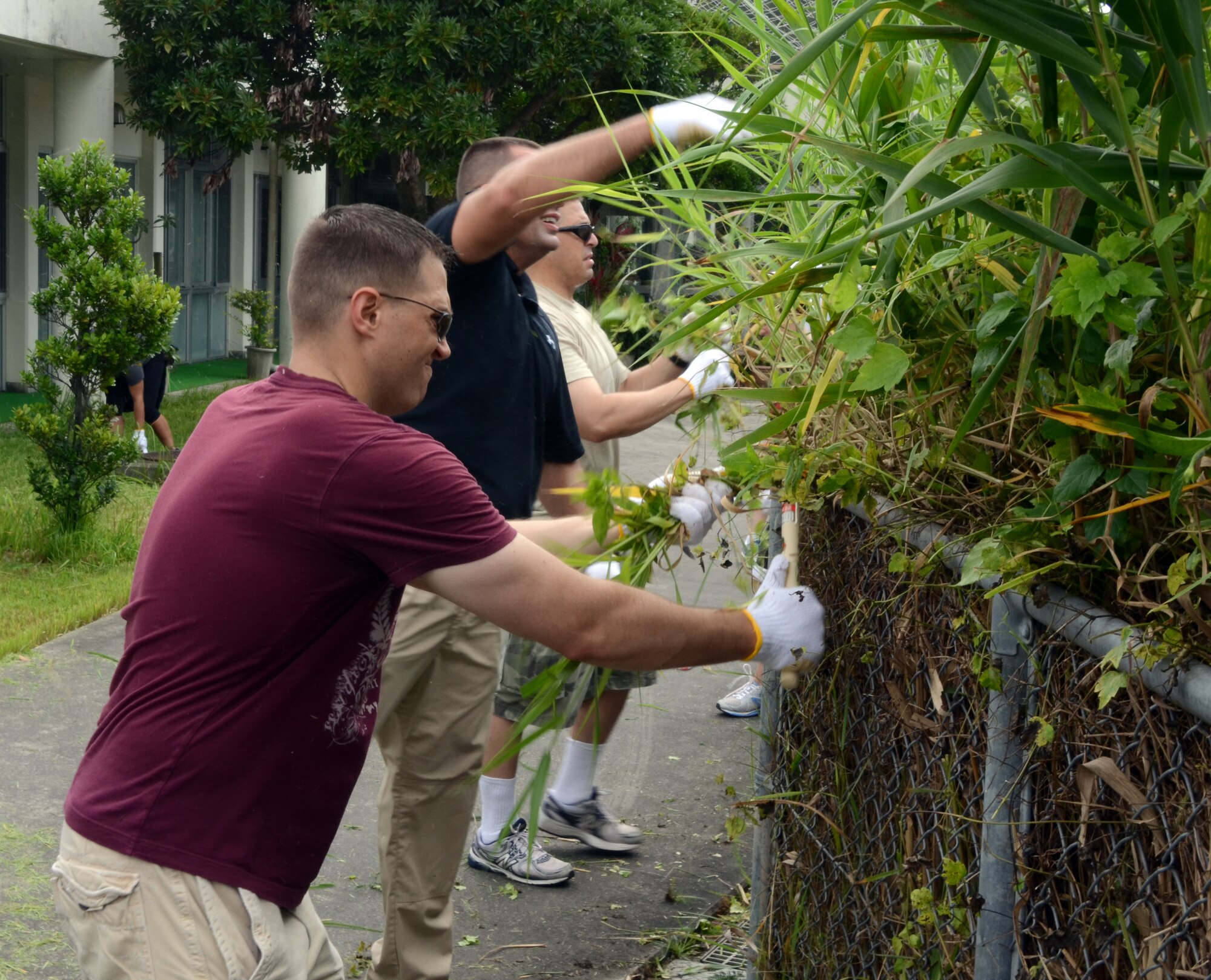 Students from the Henry E. Erwin Professional Military Education Center Class 12-05 pull overhanging weeds from a chain-link fence at the Ichijoen Elders Home June 16, 2012. Twenty seven members of Class 12-05 visited the elder’s home for an afternoon of lawn work during a volunteer community relations activity. The students are from bases with in the Pacific Air Forces' command to include Misawa Air Base, Yokota Air Base, Kadena Air Base, Anderson Air Force Base and Joint Base Pearl Harbor Hickham. (U.S. Air Force photo by Tech. Sgt. Phillip Butterfield/Released) 