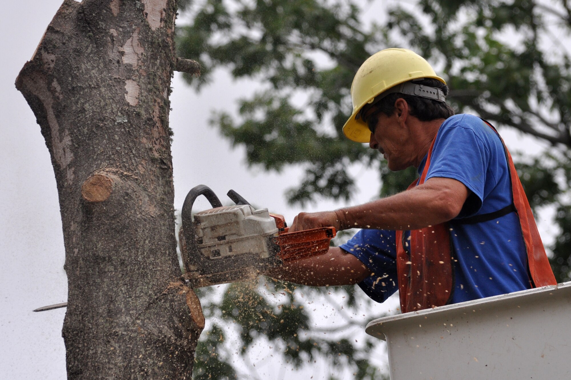 Tony Mead, a tree trimmer with Rushing Technical Services, Cabot Ark., cuts a larger portion of the trunk off a dead tree at the 307th Bomb Wing Headquarters building on Barksdale Air Force Base, La., June 19, 2012. Due to the 2011 drought season and the warmest spring on record, hundreds of trees on Barksdale have died. Efforts are being made to clear the trees on the main base and in the housing areas. To date, workers for RTS have cleared approximately 30 trees off the main base. (U.S. Air Force photo by Master Sgt. Jeff Walston)  