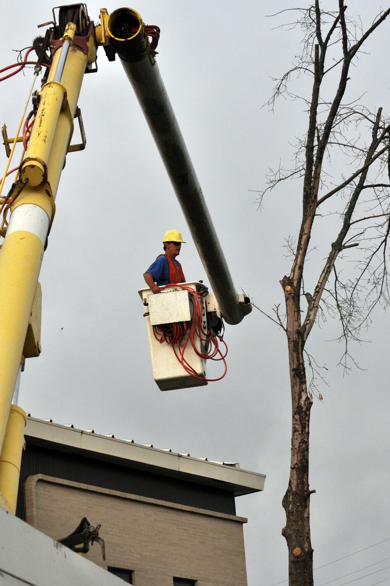 Tony Mead, a tree trimmer with Rushing Technical Services, Cabot Ark., formulates a plan of attack after trimming the smaller limbs off a dead tree at the 307th Bomb Wing Headquarters building on Barksdale Air Force Base, La., June 19, 2012. Due to the 2011 drought season and the warmest spring on record, hundreds of trees on Barksdale have died. Efforts are being made to clear the trees on the main base and in the housing areas. To date, workers for RTS have cleared approximately 30 trees off the main base. (U.S. Air Force photo by Master Sgt. Jeff Walston)  