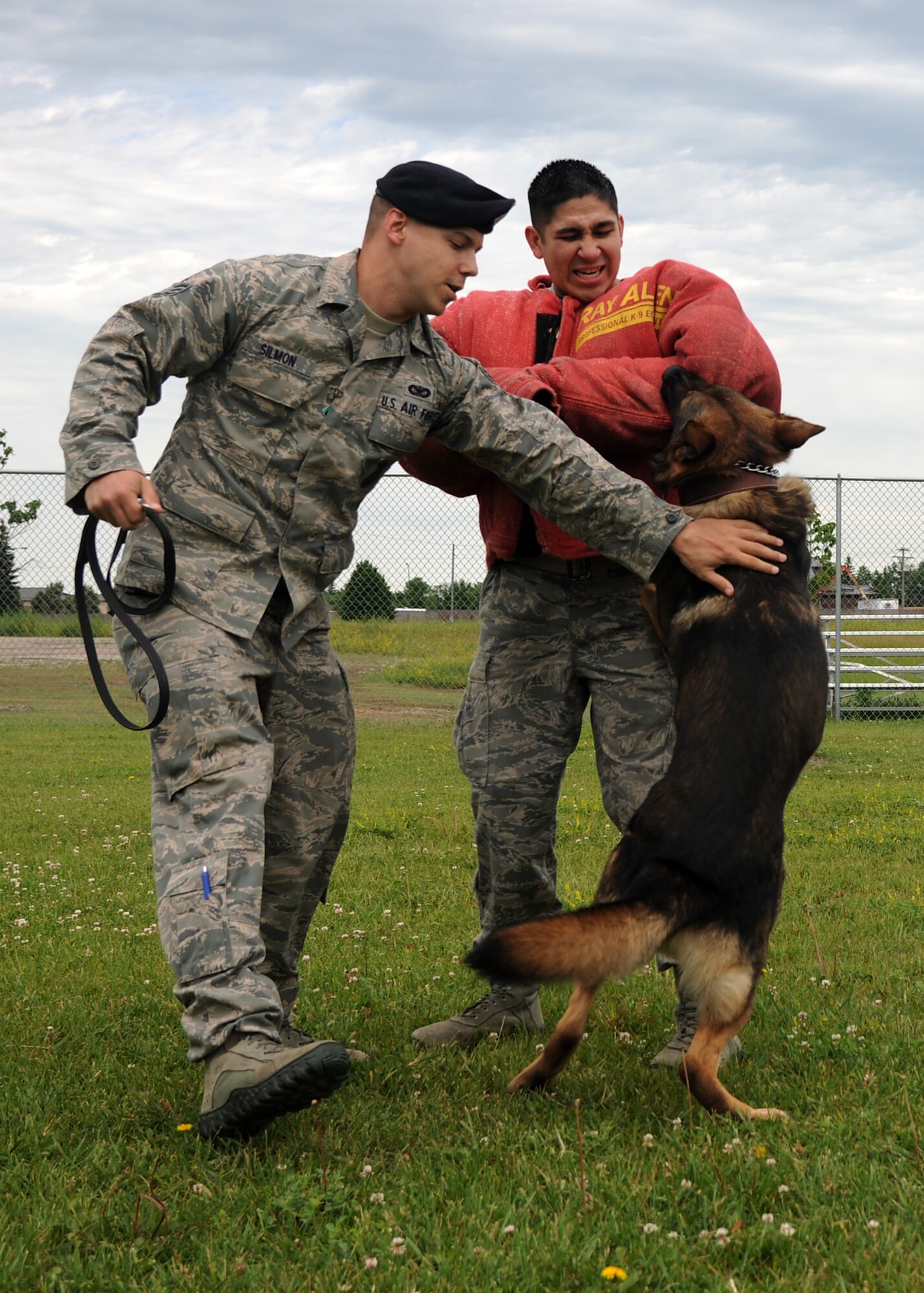 Senior Airman Brett Silmon, 319th Security Forces Squadron, tames Atti, his military working dog, during a training exercise with Senior Airman Joseph Schwochert, 319th SFS, on June 19, 2012, on Grand Forks Air Force Base, N.D.  Silmon was named the latest Warrior of the Week for the 319th Air Base Wing (U.S. Air Force photo/Airman 1st Class Ashley N. Taylor)