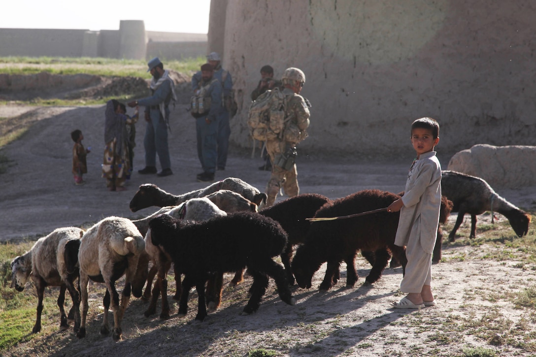 A boy herds sheep past U.S. soldiers and Afghan policemen as they complete a weapons search in Tatanak in Afghanistan's Paktya province, June 14, 2012. The U.S. soldiers are assigned to 3rd Battalion, Company D, 509th Infantry Regiment,