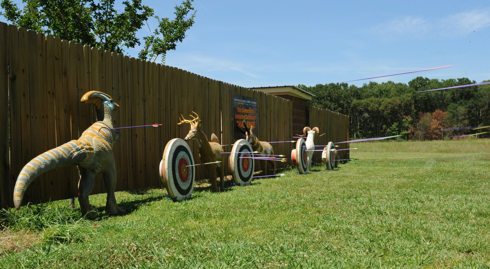 Arrows hit targets at the 3D Archery range on Barksdale Air Force Base, La., June 20. The archery event kicked off the Air Force Global Strike Command and American300 Warrior Tours "Do Something Amazing Outdoors" summer challenge. The American300 is a charitable organization that aims at encouraging service members and their families to do something fun for the summer. (U.S. Air Force photo/Airman 1st Class Benjamin Gonsier)(RELEASED)
