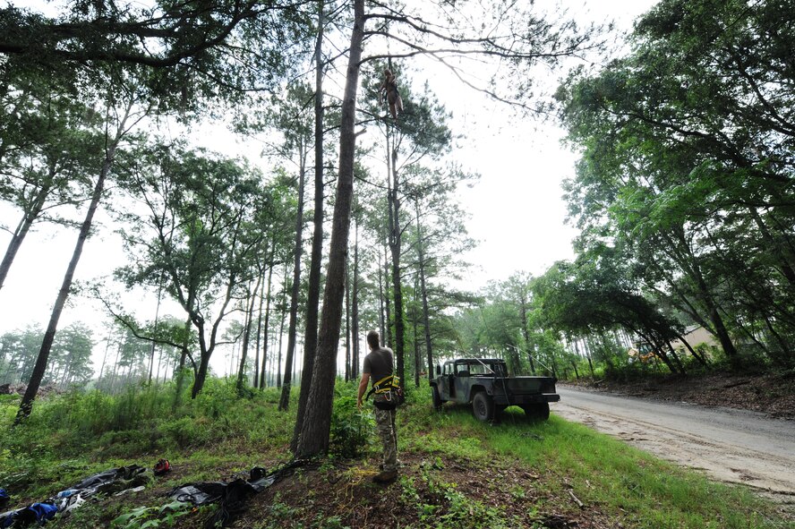 U.S. Air Force Tech. Sgt. Daniel Daubert, 347th Operations Support Squadron survival, evasion, resistance and escape specialist, assesses the placement of a training dummy in a tree June 11, 2012, at Moody Air Force Base, Ga. Daubert teaches a tree rescue course as part of SERE curriculum to personnel assigned to the 23d Wing and 93d Air Ground Operations Wing. (U.S. Air Force photo by Master Sgt. Sonny Cohrs/Released)

