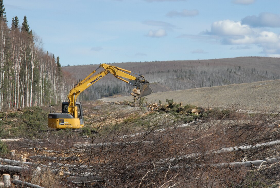 Vegetation removal along dam.