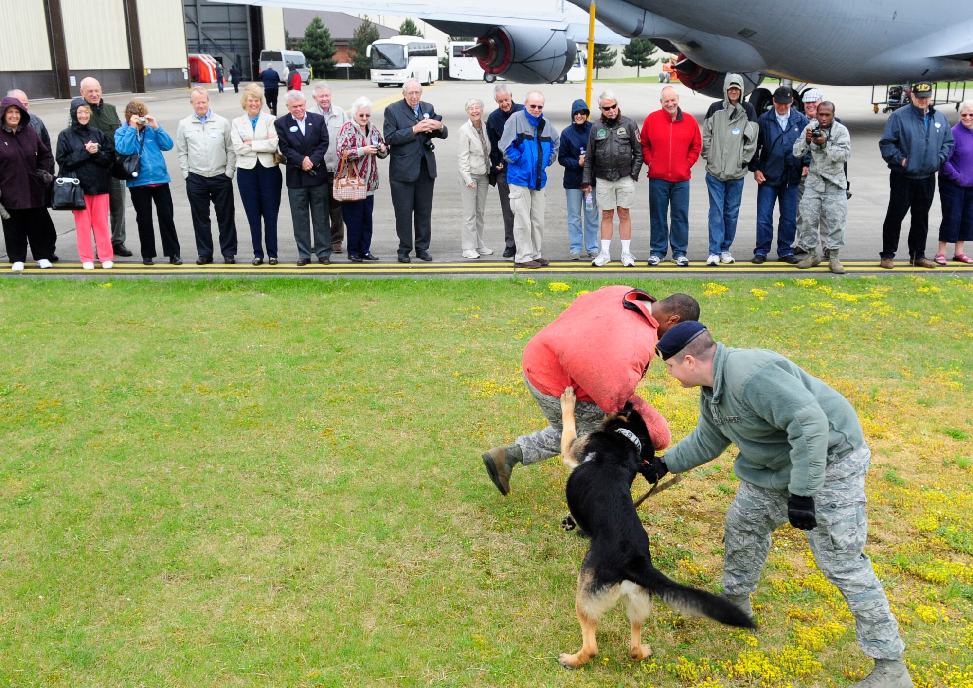 RAF MILDENHALL, England – Staff Sgt. Kaylon Pendleton, 100th Security Forces Squadron military working dog handler, attaches a leash to MWD Ferro, after the dog subdued Staff Sgt. Billy Lofton, 100th SFS MWD handler, as part of a demonstration during the Retiree Appreciation Day event at RAF Mildenhall June 22, 2012. More than 170 people attended the event and had the chance to see a static KC-135 Stratotanker, explosive ordinance disposal equipment display, and other units from around the base. (U.S. Air Force photo/Senior Airman Ethan Morgan)