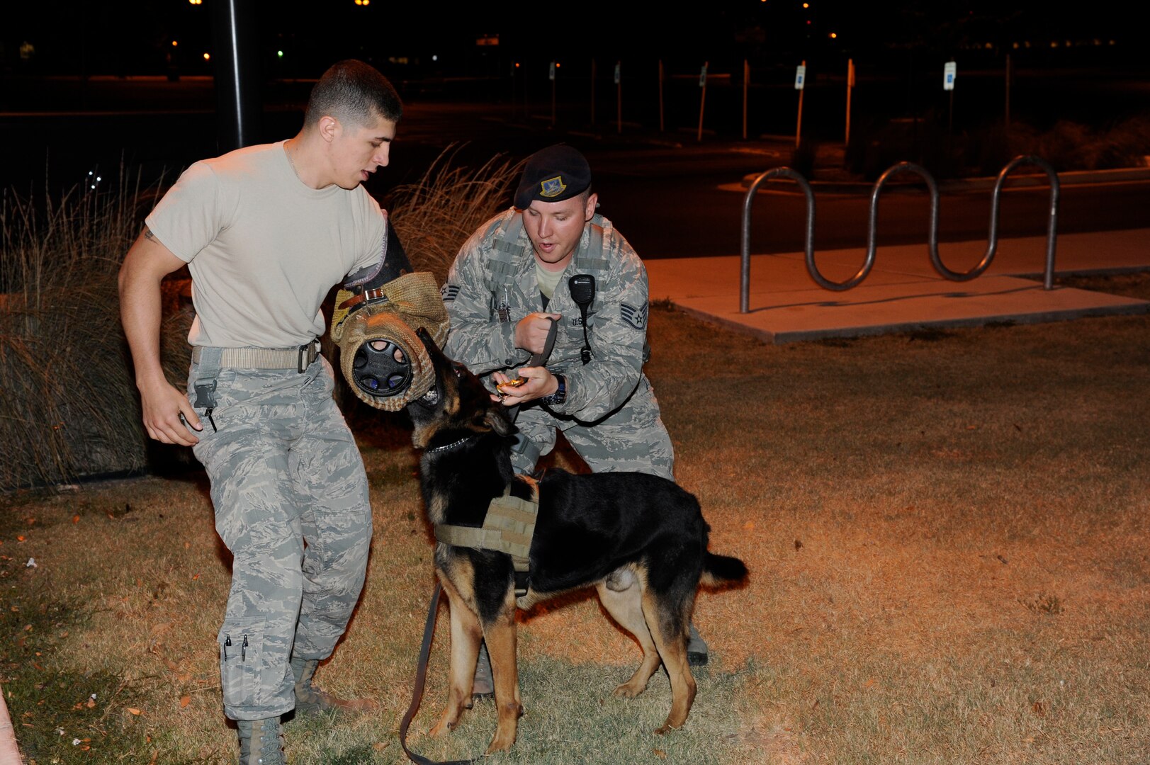 Staff Sgt. Edward Wallace, 902nd Security Forces Squadron military working dog handler, commands his dog Troy, to release his bite on Airman 1st Class Joshua Royer, 902nd SFS installation patrolman, during training on Joint Base San Antonio-Randolph, Texas, June 22.  (U.S. Air Force Photo by Don Lindsey)