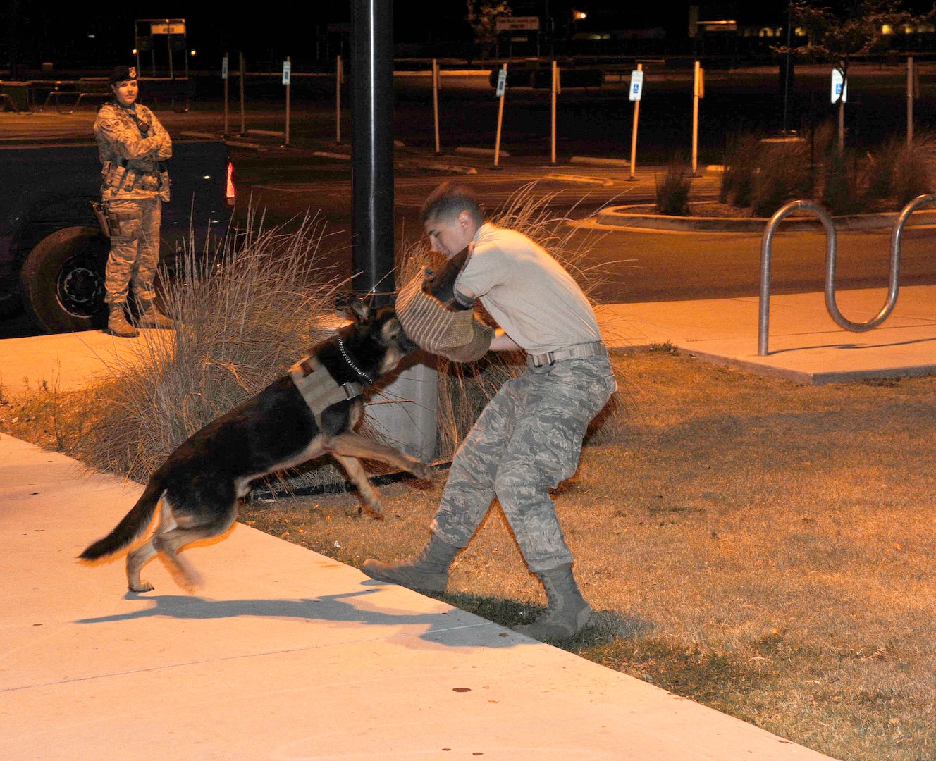 Troy, 902nd Security Forces Squadron military working dog, attacks Airman 1st Class Joshua Royer, installation patrolman, during training while Airman 1st Class Melinda Ashley, base entry controller, looks on at Joint Base San Antonio-Randolph, Texas, on June 22.  
(U.S. Air Force Photo by Don Lindsey) 