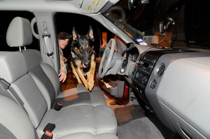 Staff Sgt. Edward Wallace, 902nd Security Forces Squadron military working dog handler, and his dog Troy, search a vehicle for drugs at Joint Base San Antonio-Randolph, Texas,  June 25. (U.S. Air Force Photo by Don Lindsey)