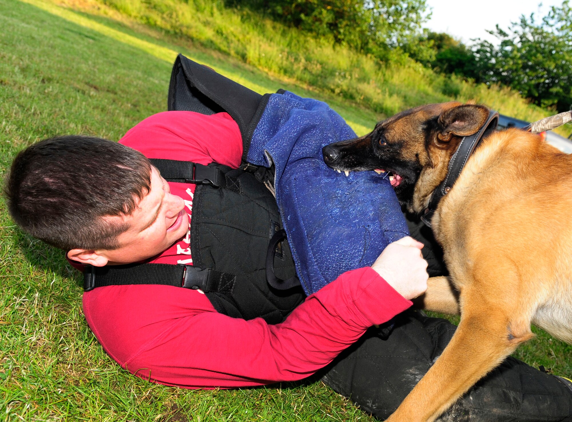 RED LODGE, England – Staff Sgt. Kaylon Pendleton, 100th Security Forces Squadron military working dog handler, is subdued by MWD Ootto as part of a demonstration for local Sea Cadets Corps members during the first Joint American-British Forces Appreciation Event held at the Millennium Center in Red Lodge June 22, 2012. Cadets and their families also got hands on tour of shown chemical, biological, radiological and nuclear response equipment, allowed to try-on CBRNE gear, view and watch a U.S. Flag folding ceremony. (U.S. Air Force photo/Senior Airman Ethan Morgan)