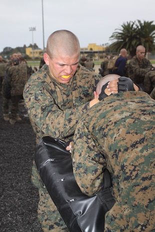 Company L recruits apply lower body strikes June 15 aboard Marine Corps Recruit Depot San Diego. They are on weektwo of recruit training and will learn many more Marine Corps Martial Arts Program moves while on the depot. These are basic tan belt moves that will help them in a hand-to-hand combat situation if they ever find themselves in one.