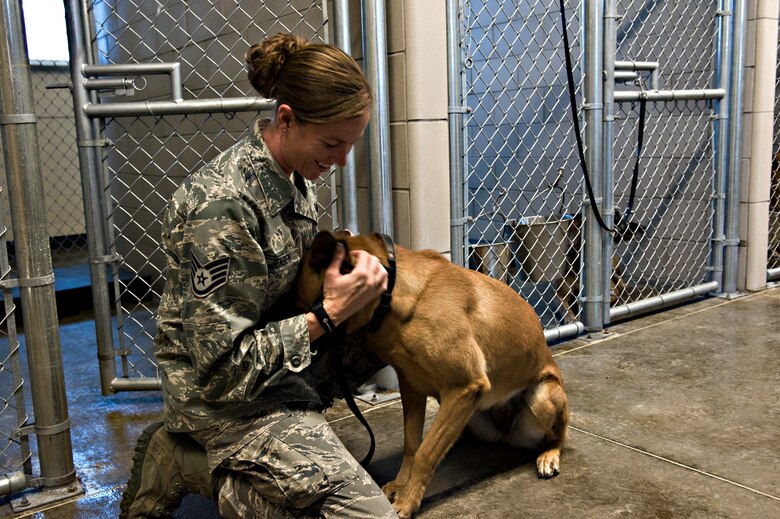 how many dogs are in the us military