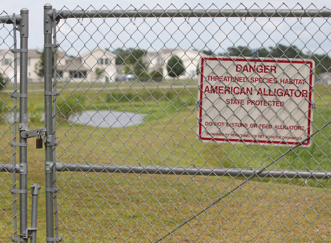 An alligator warning sign is posted on the chain-linked fence surrounding storm water pond aboard Marine Corps Base Camp Lejeune's Tarawa Terrace residential area. These fences also keep alligators from straying into residential areas where they can be a threat. 