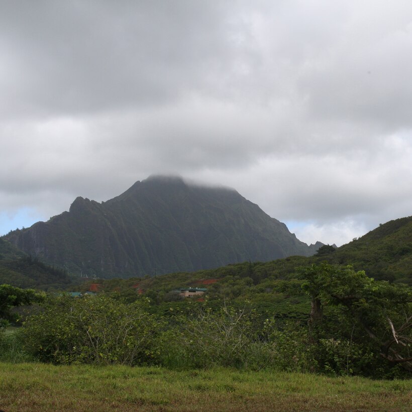 The Department of Land and Natural Resources and the U.S. Army Corps of Engineers broke ground today on the Kawainui Marsh Environmental Restoration Project in Kailua, O‘ahu. The project will increase populations of endangered waterfowl, create scenic open space, reduce upland runoff to coastal reefs and remove invasive weeds from the marsh.
