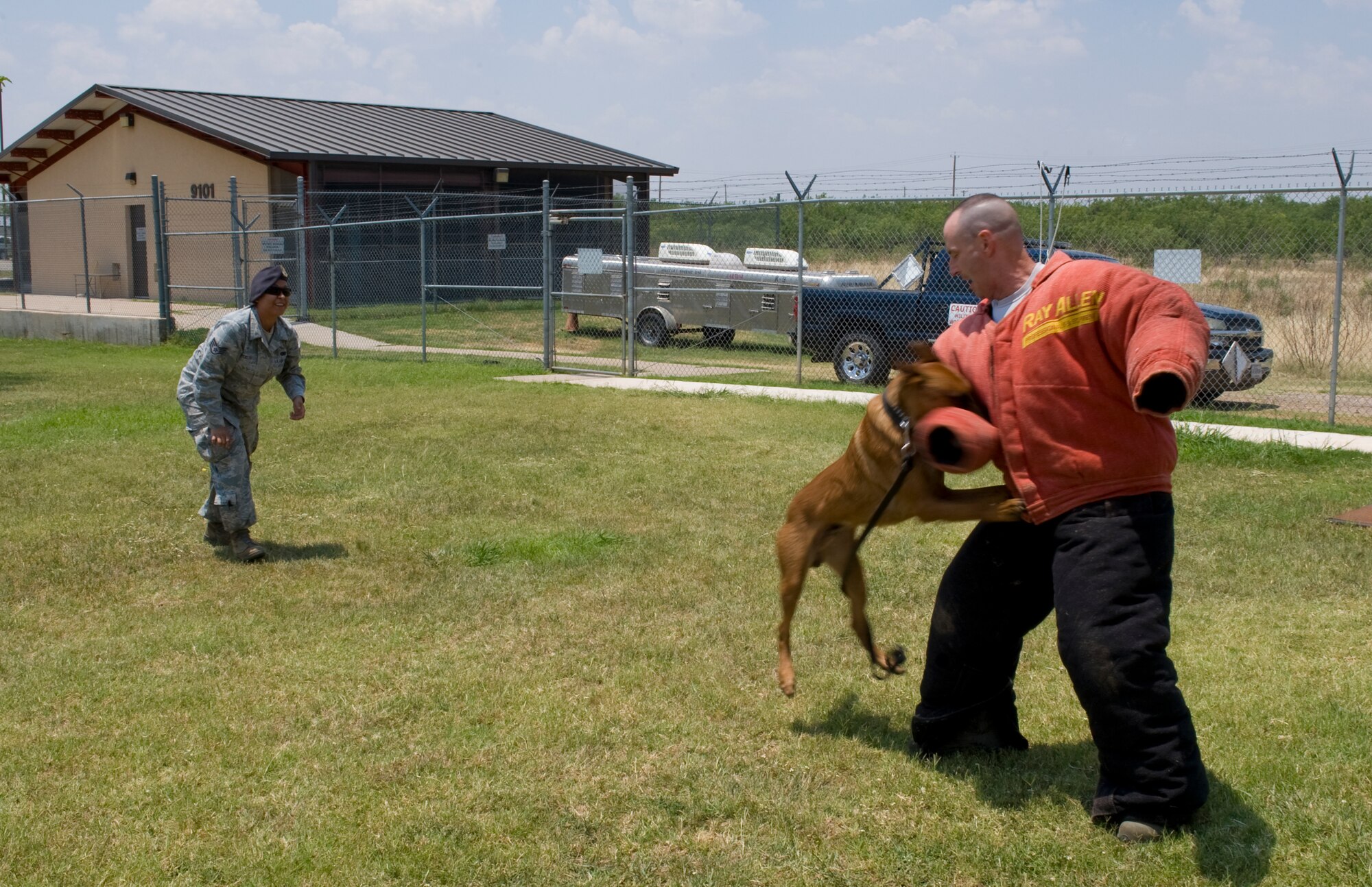 U.S. Air Force Staff Sgt. Patricia Eckles, 7th Security Forces Squadron, left, releases her military working dog Dewey on Col. David Béen, 7th Bomb Wing commander, June 26, 2012, at Dyess Air Force Base, Texas. Béen received an opportunity to see and feel the capabilities of a military working dog first hand. MWDs are used on patrol, drug and explosive detection, as well as suspect apprehension. (U.S. Air Force photo by Staff Sgt. Richard P. Ebensberger/ Released)
