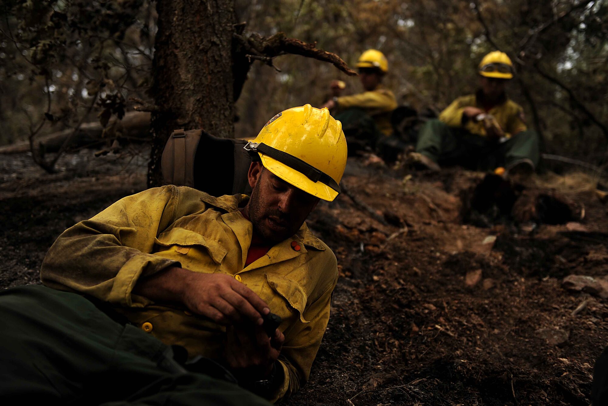 Chris Loung looks at his phone during a team lunch break from cutting a fire line in the Mount Saint Francois area of Colorado Springs, Colo., June 28, 2012. Loung and the rest of the firefighters of the Vandenberg Air Force Base, Calif., Hot Shots are helping to battle several fires in Waldo Canyon. (U.S. Air Force photo/Master Sgt. Jeremy Lock) 