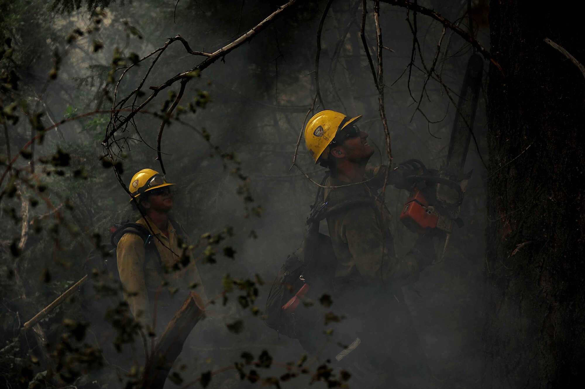 Brad Mabery downs a tree with a chainsaw with the help of Marissa Halbeisen while cutting and clearing a fire line in the Mount Saint Francois area of Colorado Springs, Colo., June 28, 2012, Mabery and Halbeisen, both firefighters with the Vandenberg Air Force Base, Calif., Hot Shots, are helping to battle several fires in Waldo Canyon.  (U.S. Air Force photo/Master Sgt. Jeremy Lock)