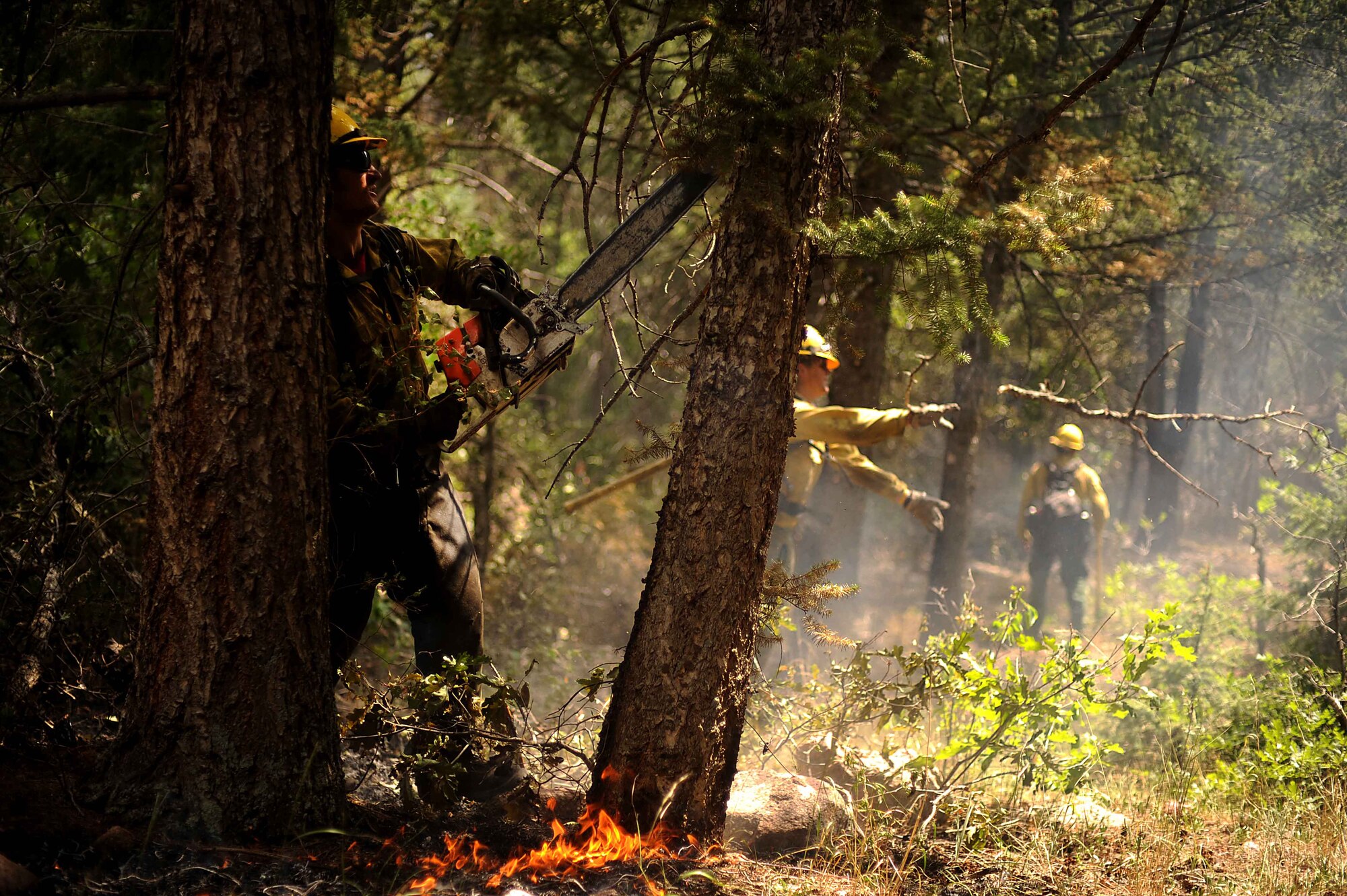 Brad Mabery downs a tree with a chainsaw while cutting and clearing a fire line in the Mount Saint Francois area of Colorado Springs, Colo., June 28, 2012. Mabery and the rest of the firefighters with the Vandenberg Air Force Base, Calif., Hot Shots are helping to battle several fires in Waldo Canyon.  (U.S. Air Force photo/Master Sgt. Jeremy Lock)
