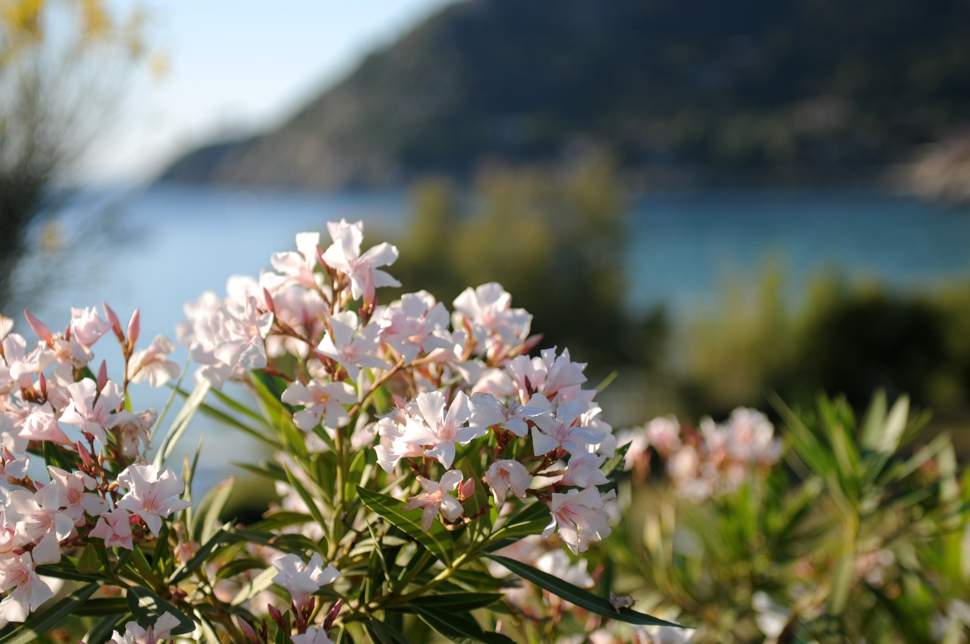 For those interested in swimming and sunbathing, the island of Elba has 147 kilometers of coastline with some of the most beautiful and varied beaches I have ever seen, some with golden, black or white sand and others with pure white pebbles. (U.S. Air Force photo/Senior Airman Katherine Windish)