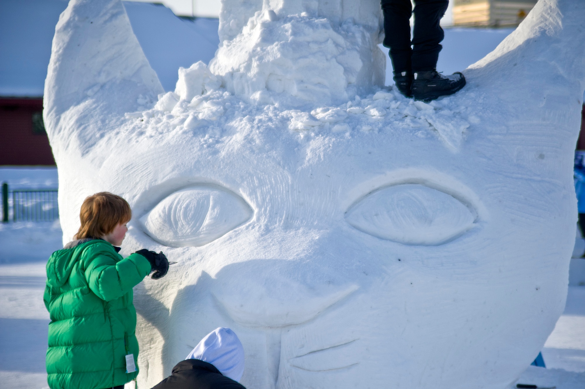 Sam Rardin, son of Robert Service High School teacher Joel Rardin, shapes the the eye of a cougar made in snow during the snow sculpting competition in Anchorage, Alaska, Feb. 25, 2012.  The snow sculpting contest is part of Fur Rendezvous, celebrating 77 years of this festival. (U.S. Air Force photo/Staff Sgt. Zachary Wolf)