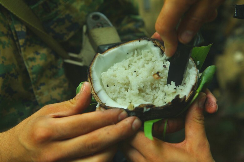 ANTRA LINA TRAINING AREA, Indonesia-An Indonesian Marine demonstrates to U.S. Marines and Sailors with Landing Force Company how to cook rice in a coconut during jungle survival training May 28. The Marines and Sailors, primarily from 2nd Battalion, 23rd Marine Regiment, are participating in Cooperation Afloat Readiness and Training (CARAT) 2011 through June. CARAT is an annual bilateral exercise held between the U.S. and Southeast Asian nations with the goals of enhancing regional cooperation, promoting mutual trust and understanding and increasing operational readiness throughout the participating nations. While in Indonesia, the service members from both nations trained in martial arts, military operations in urban terrain, jungle survival, combat marksmanship, sniper techniques and combat lifesaving skills.