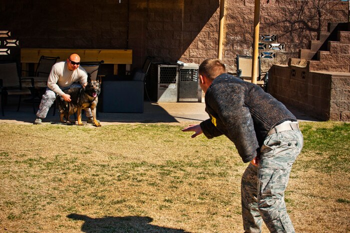 Staff Sgt. Felipe Alvarado (left) and Staff Sgt. Tanner Grutz (right), 99th Security Forces Squadron military working dog handlers, prepare military working dog Pike for a suspect apprehension during training March 2, 2012, at Nellis Air Force Base, Nev. Military working dogs undergo daily training to handle a wide range of scenarios. (U.S. Air Force photo by Senior Airman Jack Sanders)