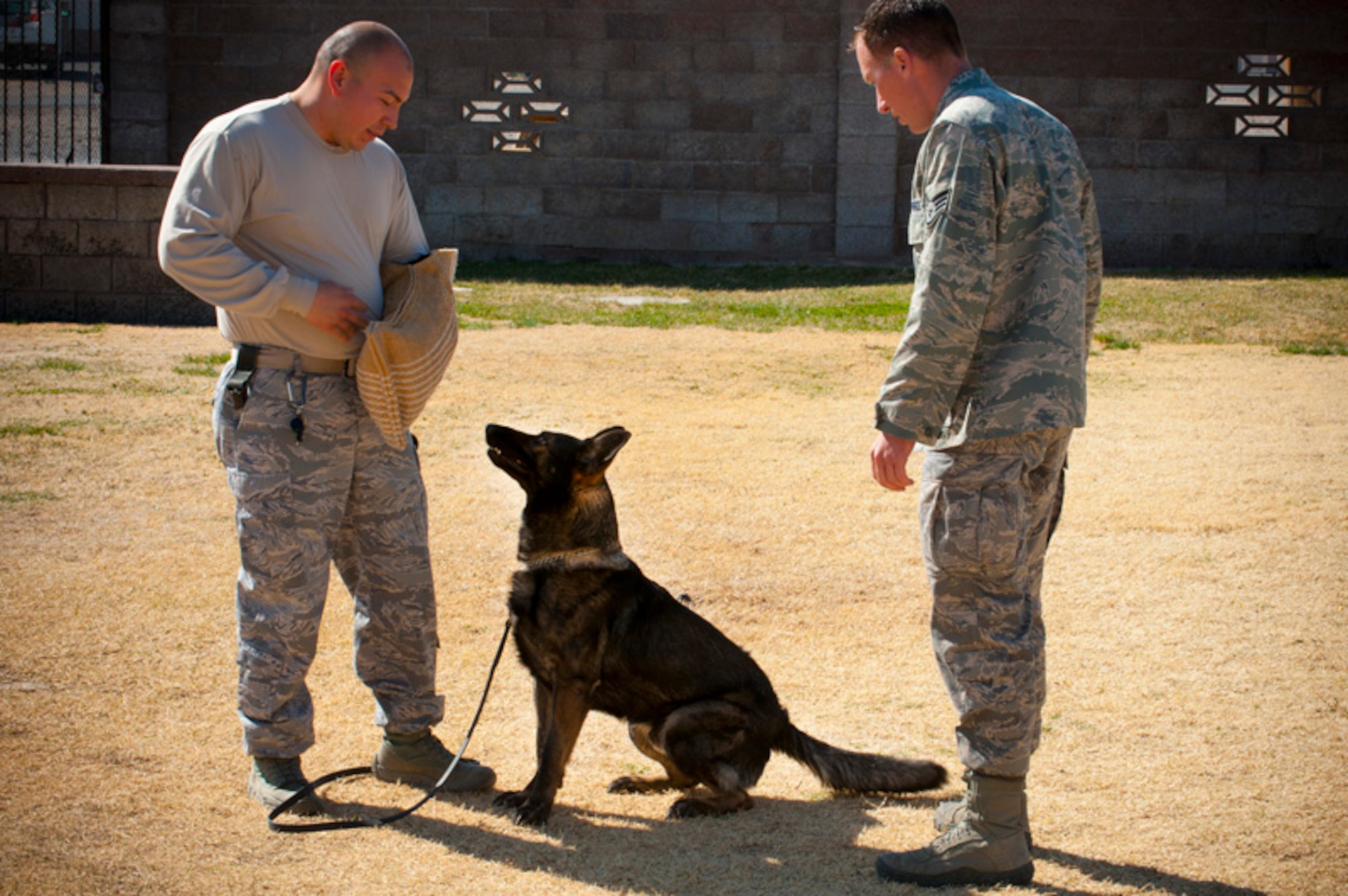 Staff Sgt. Felipe Alvarado (left) and Staff Sgt. Tanner Grutz (right), 99th Security Forces Squadron military working dog handlers, roleplay an encounter with a "suspect" during training with two-year-old working dog Pajk March 2, 2012, at Nellis Air Force Base, Nev. Military working dogs undergo daily training to handle a wide range of scenarios. (U.S. Air Force photo by Senior Airman Jack Sanders)