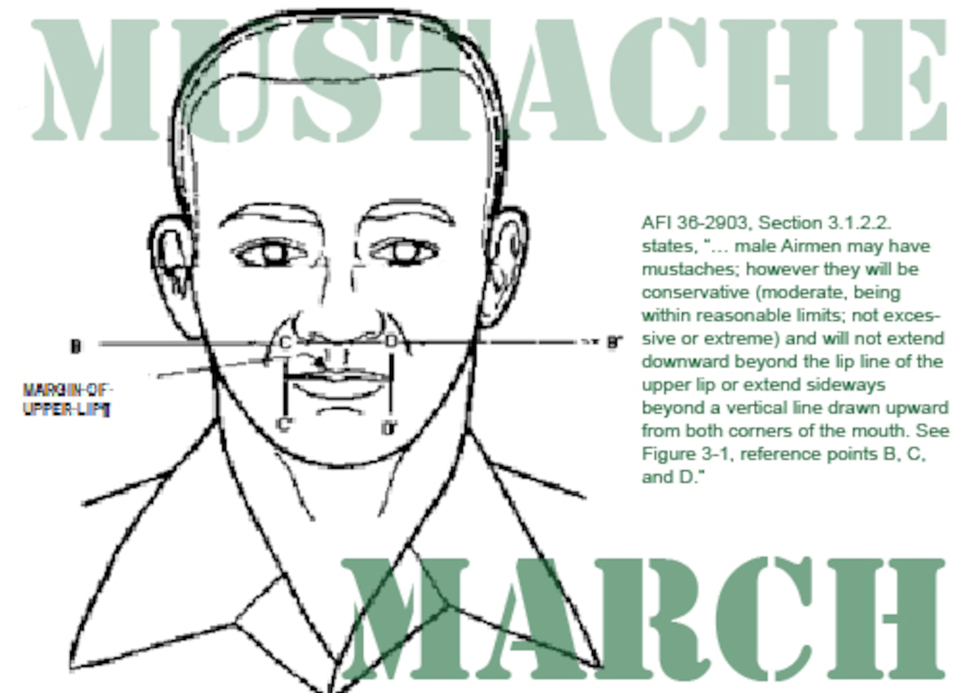 AFI 36-2903, Section 3.1.2.2. states, “… male Airmen may have mustaches; however they will be conservative (moderate, being within reasonable limits; not excessive or extreme) and will not extend downward beyond the lip line of the upper lip or extend sideways beyond a vertical line drawn upward from both corners of the mouth. See Figure 3-1, reference points B, C, and D.” (U.S. Air Force Graphic/Senior Airman Torey Griffith)