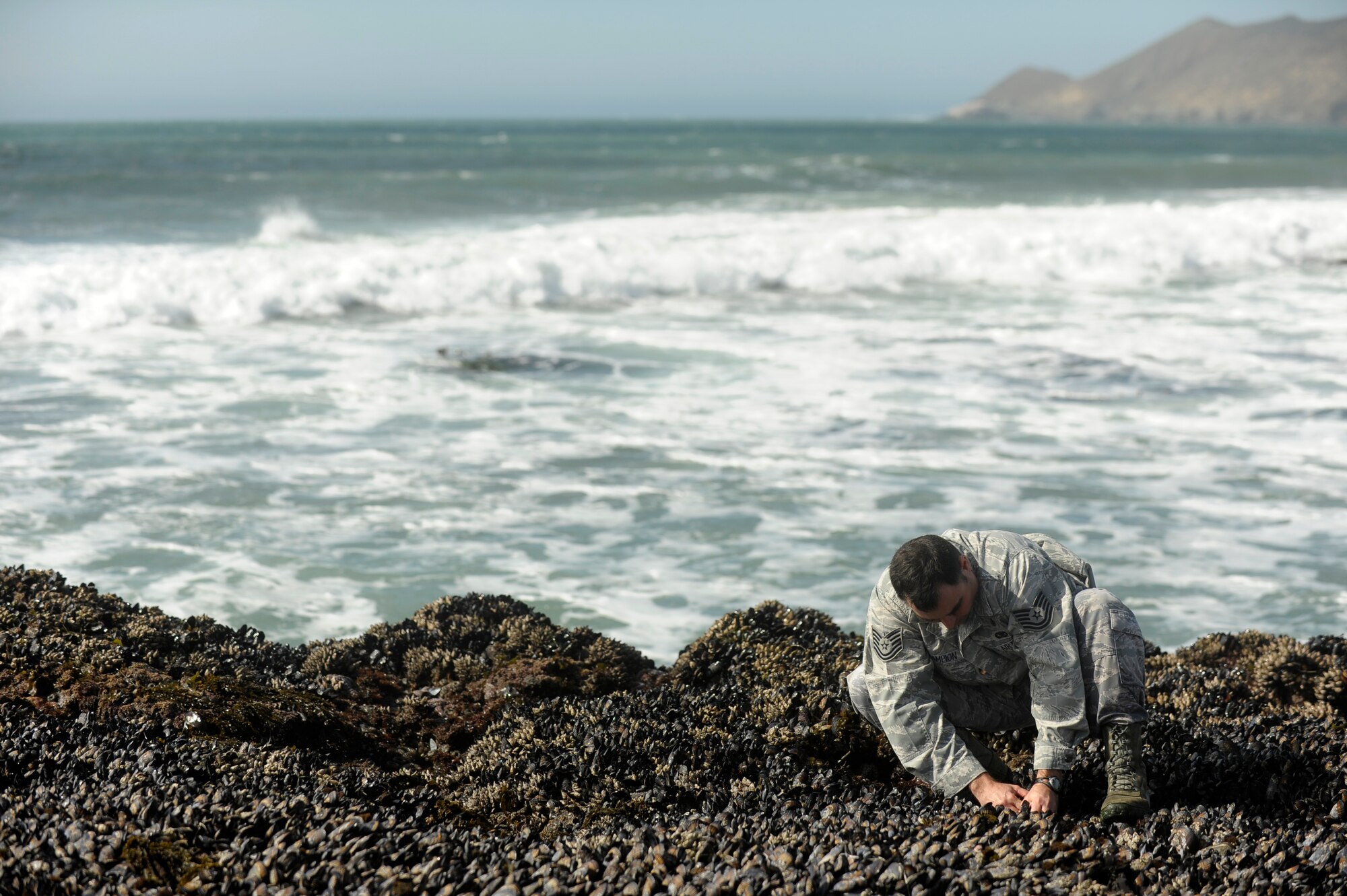 VANDENBERG AIR FORCE BASE, Calif.-- Tech. Sgt. Roy Champion, 30th Medical Operations Squadron NCO in charge of community health, digs up a sea mussel for testing at Minuteman Beach Friday, Feb. 17, 2012. The 30th MDOS collects the mussel samples to assist the California Department of Public Health test for toxins in the ocean. (U.S. Air Force photo/Staff Sgt. Andrew Satran) 

 
