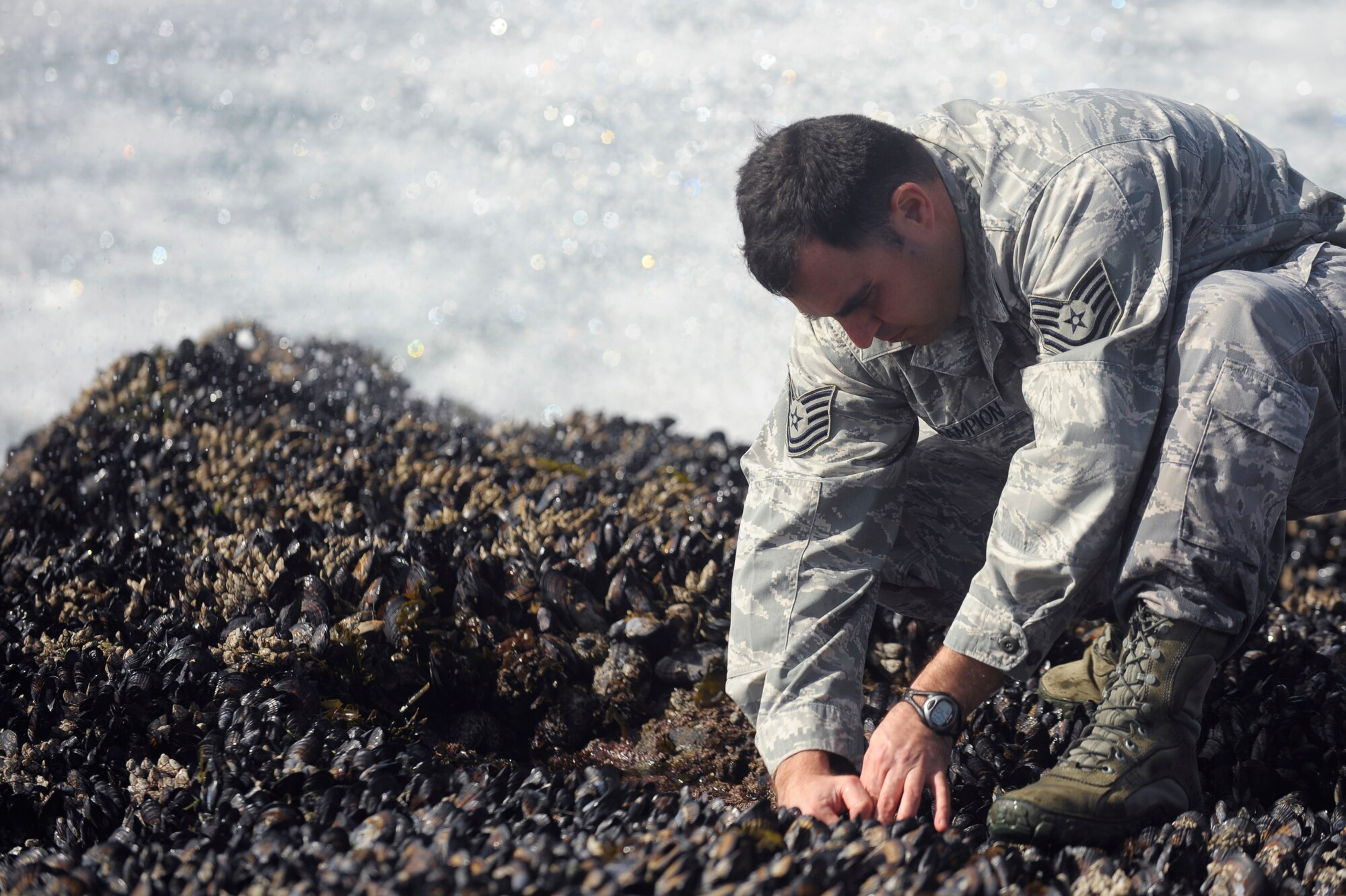 VANDENBERG AIR FORCE BASE, Calif.-- Tech. Sgt. Roy Champion, 30th Medical Operations Squadron NCO in charge of community health, digs up a sea mussel for testing at Minuteman Beach Friday, Feb. 17, 2012. The 30th MDOS collects the mussel samples to assist the California Department of Public Health test for toxins in the ocean. (U.S. Air Force photo/Staff Sgt. Andrew Satran) 

 