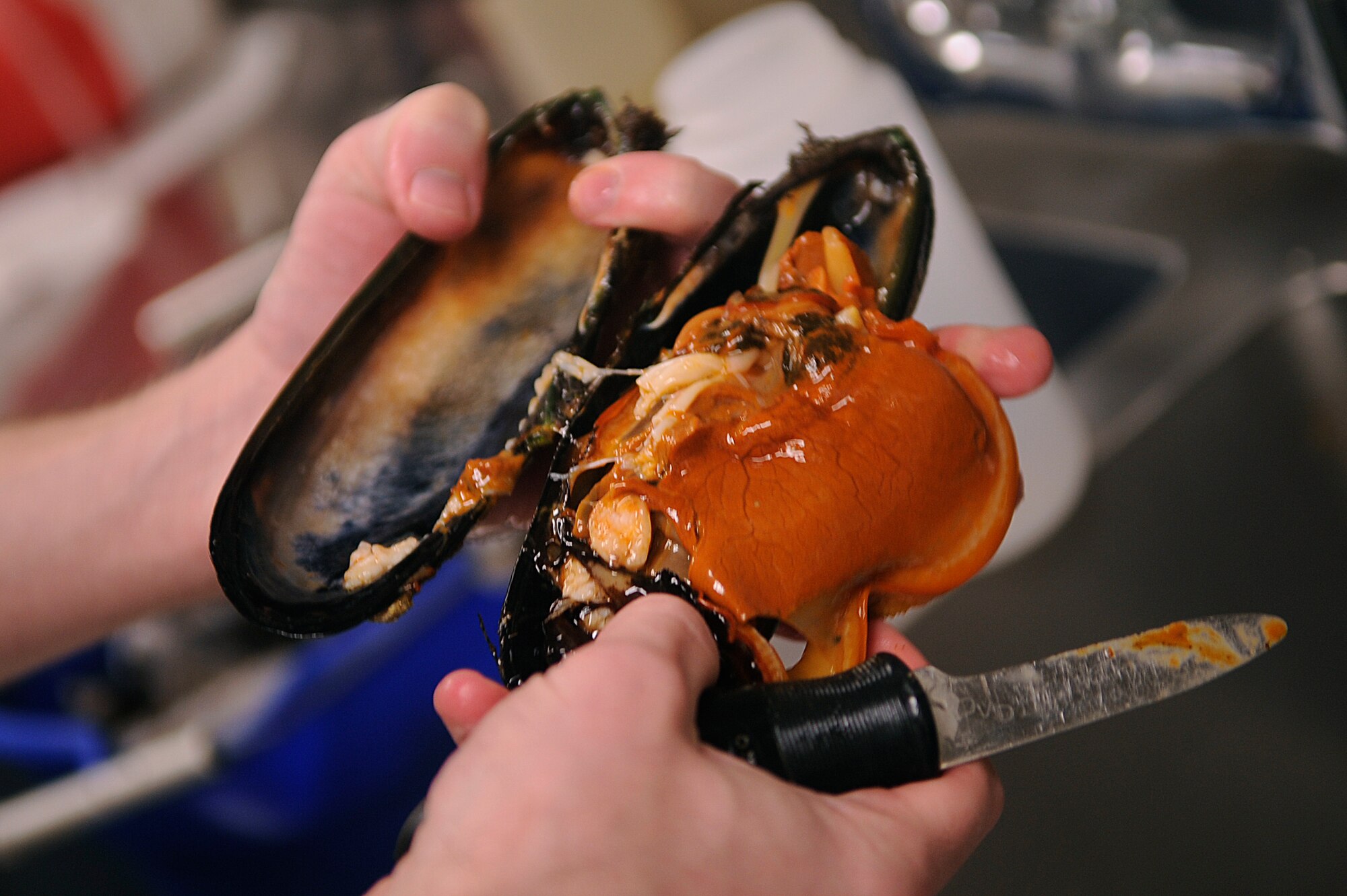 VANDENBERG AIR FORCE BASE, Calif.-- Senior Airman Barry Jones, a 30th Medical Operations Squadron public health technician, shucks a sea mussel at the 30th MDOS Friday, Feb. 17, 2012. The 30th MDOS collects the mussel samples and sends them to the California Department of Public Health to test for toxins. (U.S. Air Force photo/Staff Sgt. Andrew Satran) 

 