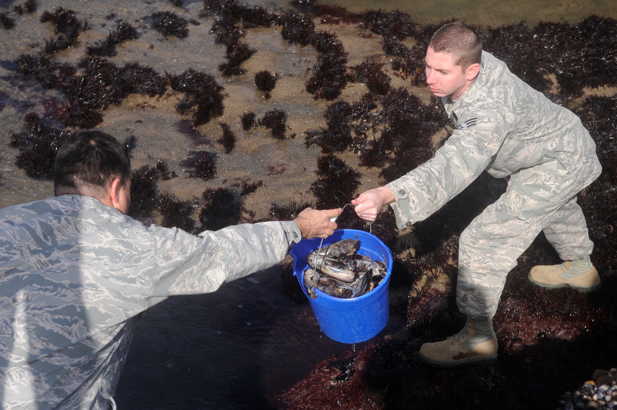 VANDENBERG AIR FORCE BASE, Calif.-- Tech. Sgt. Roy Champion, 30th Medical Operations Squadron NCO in charge of community health, hands a bucket of sea mussels to Senior Airman Barry Jones, a 30th MDOS public health technician, during a sea mussel collection at Minuteman Beach Friday, Feb. 17, 2012. The 30th MDOS collects the mussel samples to assist the California Department of Public Health test for toxins in the ocean. (U.S. Air Force photo/Staff Sgt. Andrew Satran) 

 