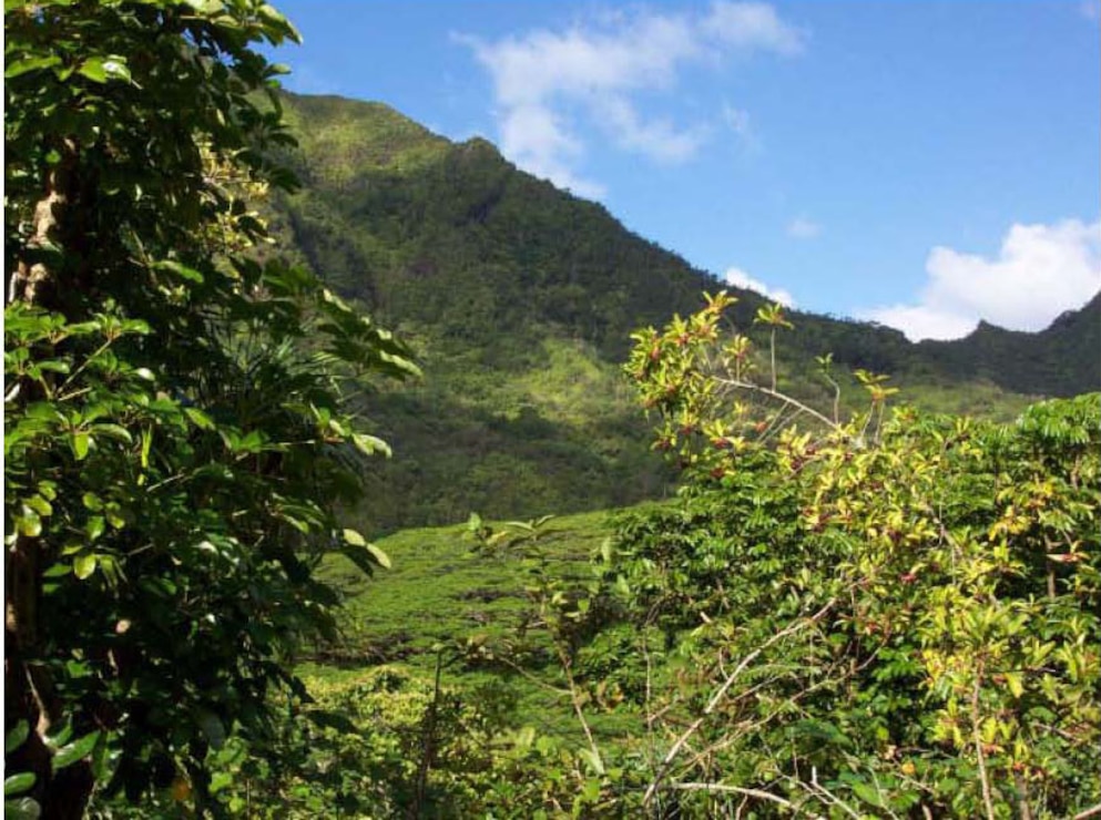 Waikane Valley Training Area