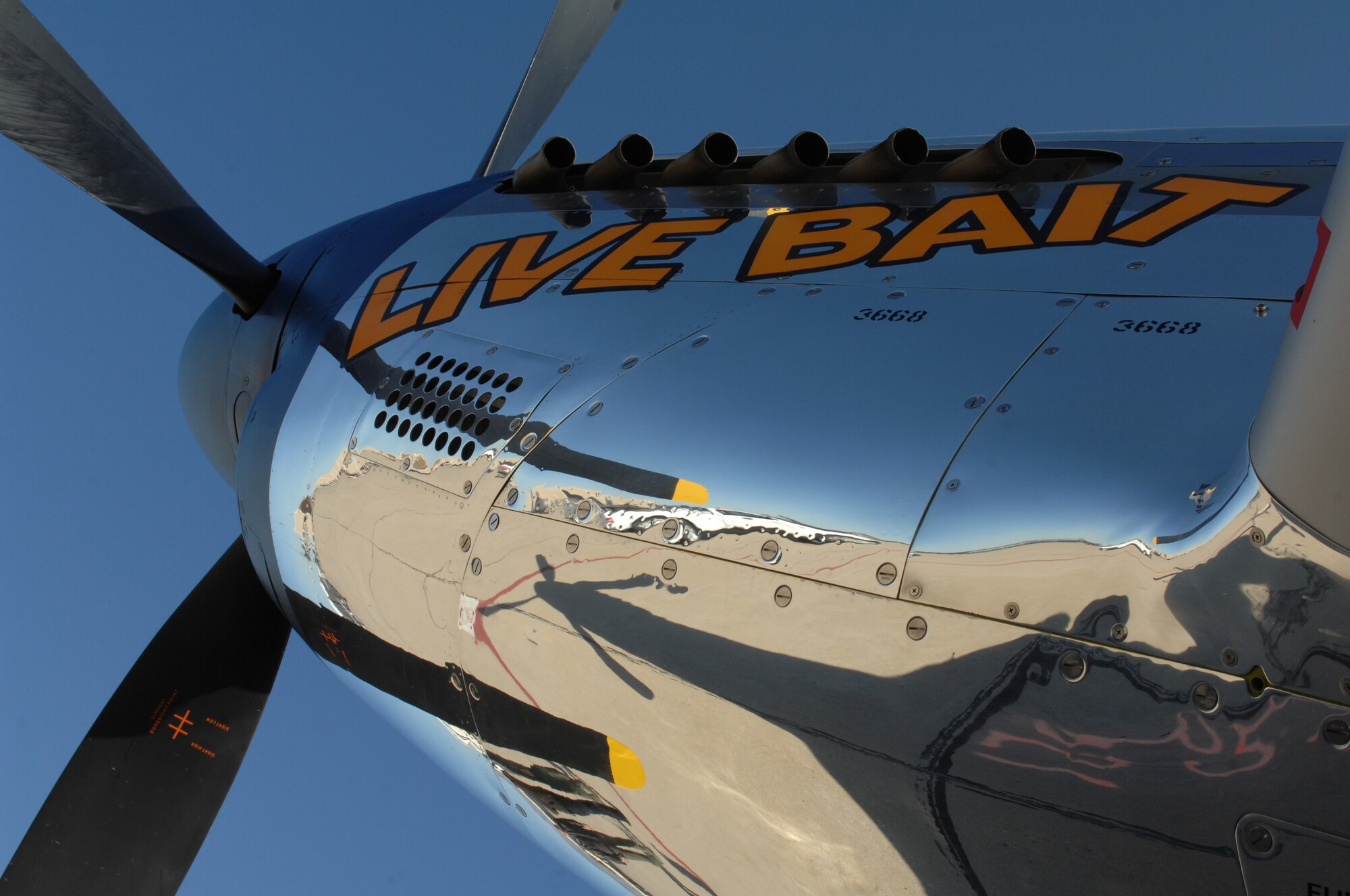 “Live Bait” is painted on the side of a P-51 Mustang at the Heritage Flight Conference on Davis-Monthan Air Force Base, Ariz., March 3. (U.S. Air Force photo by Airman 1st Class Michael Washburn/Released)