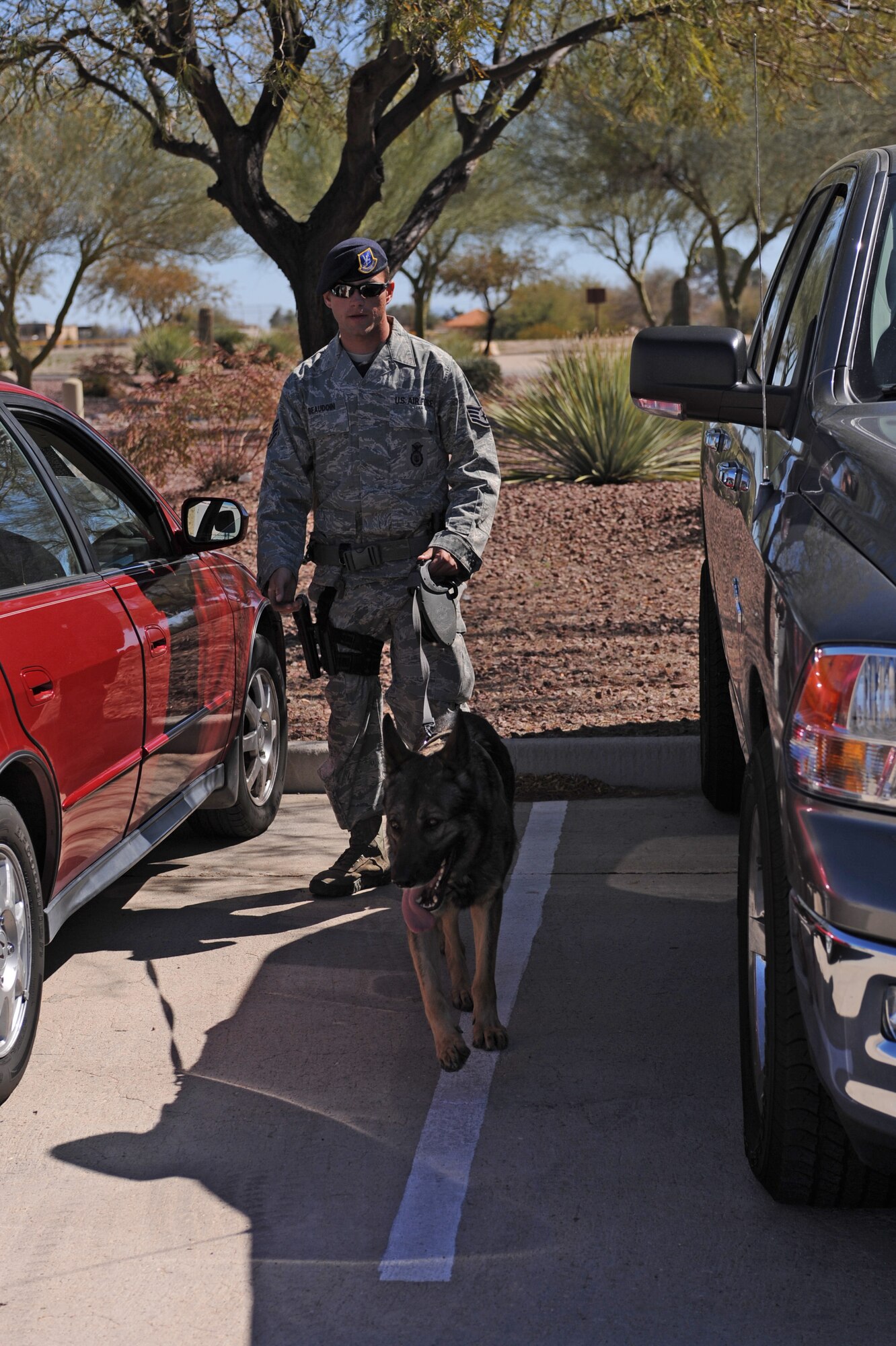 U.S. Air Force Staff Sgt. Robert Beaudoin and Military Working Dog Mushe scan through parked vehicles on Davis-Monthan Air Force Base, Ariz., Feb. 24. (U.S. Air Force photo by Airman 1st Class Christine Griffiths/Released)