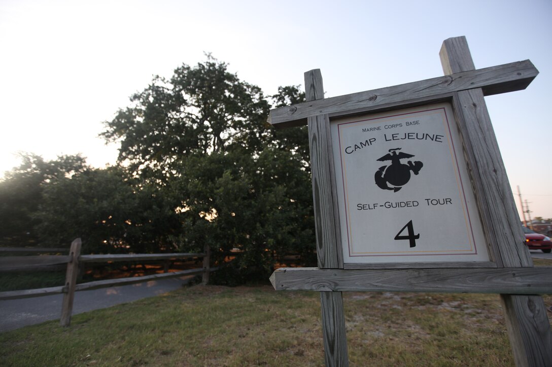 The live oak, or quercus virginiana, on McHugh Boulevard aboard Marine Corps Base Camp Lejeune was dedicated as the Bicentennial Tree July 4, 1976, in commemoration of the nation’s 200th anniversary. The scar on its back marks where concrete was poured in for support.