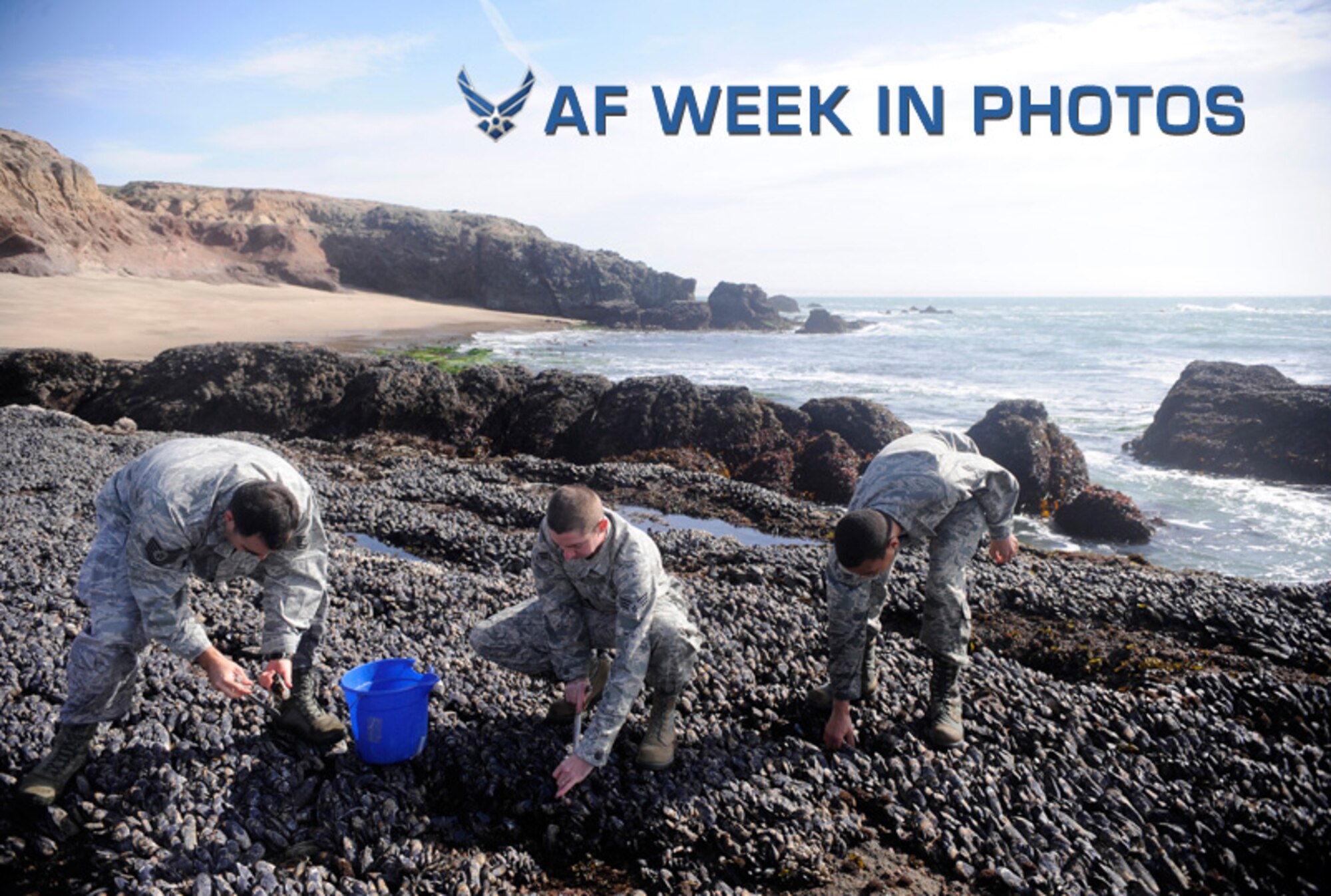 Tech. Sgt. Roy Champion, Senior Airman Barry Jones and Airman 1st Class Charles Bryant dig up sea mussels for testing at Vandenberg Air Force Base, Calif., Feb. 17, 2012. The sea mussels are tested for paralytic shellfish poisoning and domoic acid to ensure the oceanic wildlife is safe for consumption. Champion is the 30th Medical Operations Squadron NCO in charge of community health, and Jones and Bryant are 30th MDOS public health technicians. (U.S. Air Force photo/Staff Sgt. Andrew Satran) 