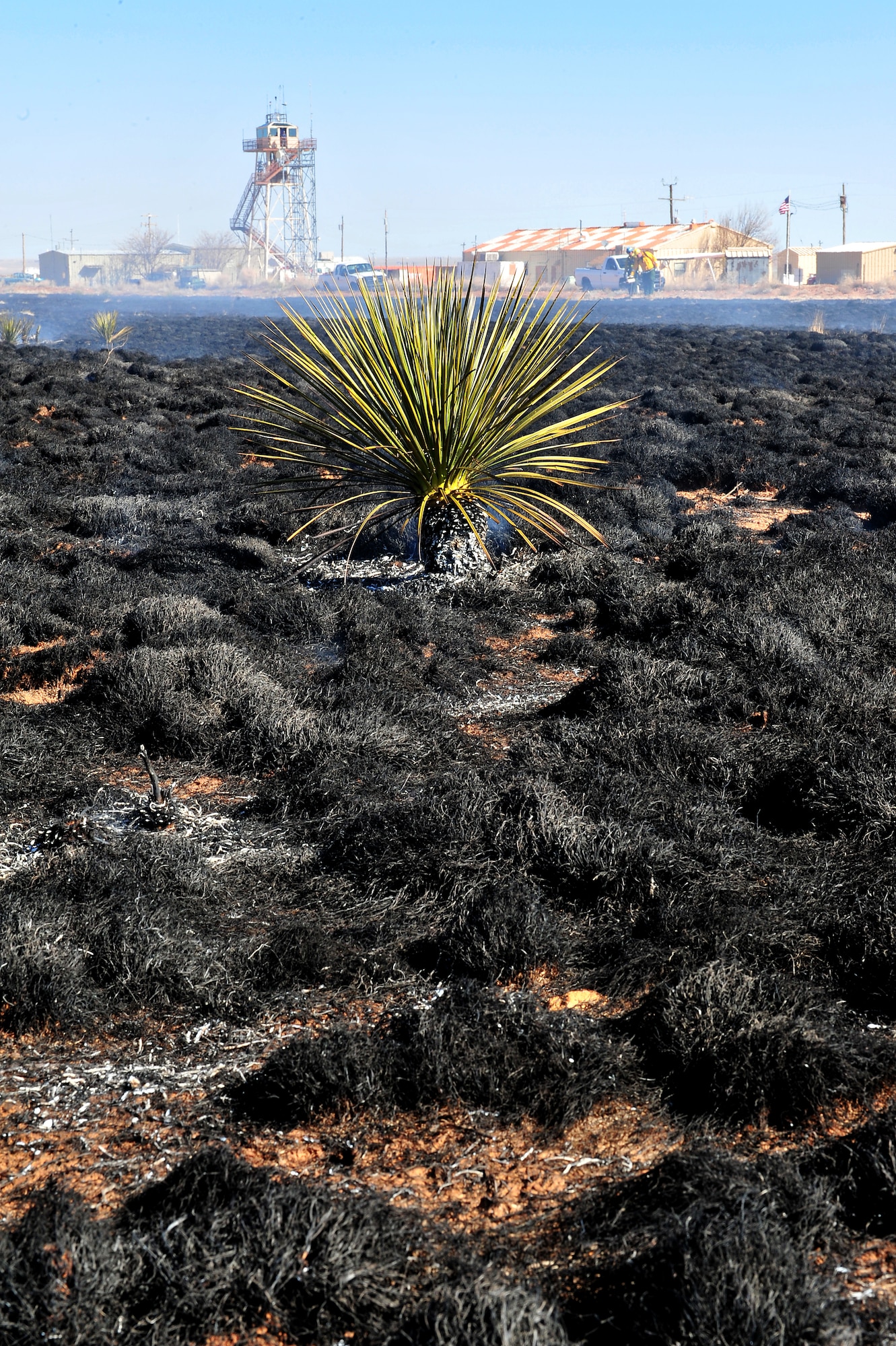 A section of Melrose Air Force Range is set fire for a controlled burn, March 5, 2012. Controlled burns are used to deprive wild fires of fuel and to prevent them from spreading. Melrose Range provides a space for realistic training of ground and air forces and is operated by Cannon Air Force Base, N.M. (U.S. Air Force photo by Tech. Sgt. Josef Cole)