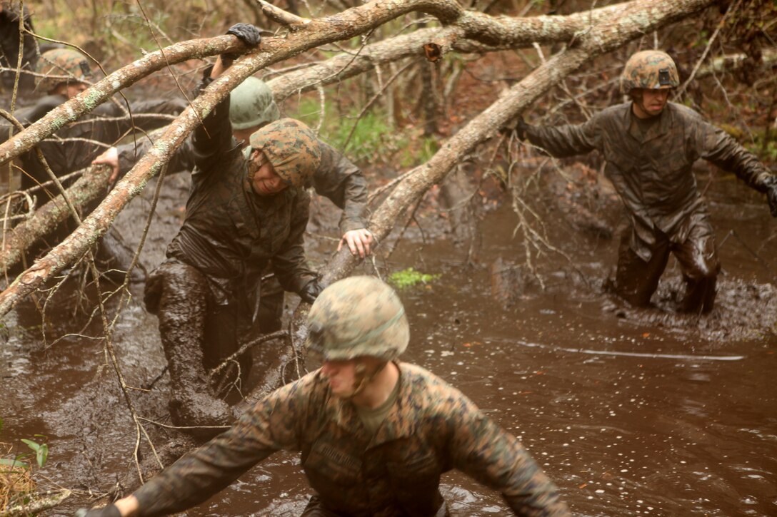 Marines with 5th Battalion, 10th Marine Regiment, 2nd Marine Division, climb over tree limbs, swim under water and through mud in an attempt to navigate through the Battle Skills Training School’s endurance course, recently. ::r::::n::::r::::n::