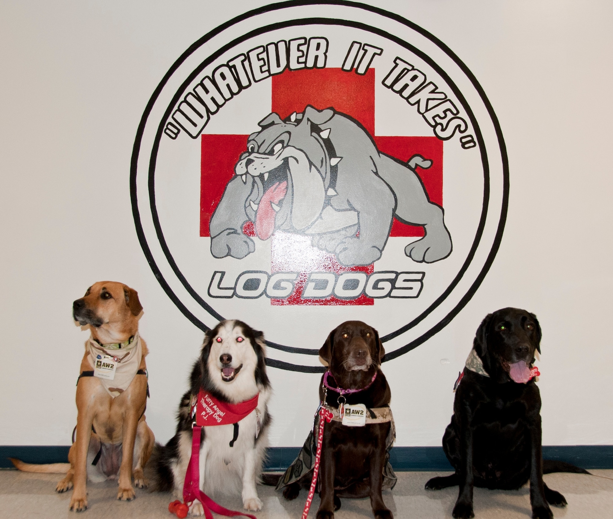 The Furry Angels Therapy dogs pose for a picture after completing a visit to the 87th Medical Group Feb. 29. From left, Aurora, P.J., Tori and Coal are part of the canine therapy team that visits the 87th MDG weekly to bring comfort to the patients. (U.S. Air Force photo by 2nd Lt. Alexis McGee/Released)