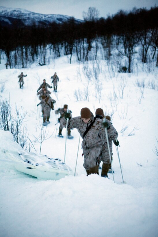 Marines with Company K, 3rd Battalion, 24th Marine Regiment, 4th Marine Division, return from practicing walking with snowshoes at Allied Training Center here, March 9. Company K is in Norway March 4-24 for Exercise Cold Response 2012. The multinational invitational event focuses on rehearsing conventional-warfare operations in winter conditions and exercising interoperability with the NATO allies. (U.S. Marine Corps photo by Lance Cpl. Marcin Platek)
