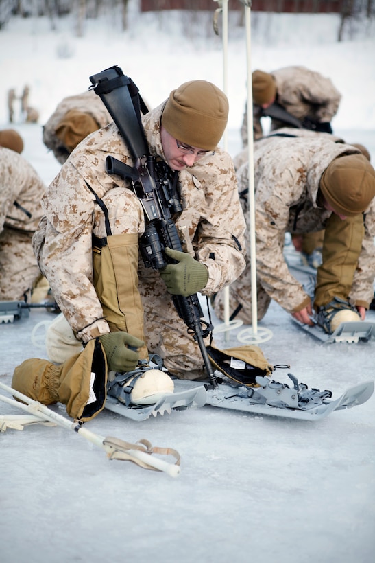 Cpl. Drew P. Carter, a driver with Company K, 3rd Battalion, 24th Marine Regiment, 4th Marine Division, and a Frankfort, Ind., native, straps on his snowshoes at the Allied Training Center here, March 9. Company K was in Norway March 4-24 for Exercise Cold Response 2012. The multinational invitational event focused on rehearsing conventional-warfare operations in winter conditions and exercising interoperability with the NATO allies. (U.S. Marine Corps photo by Lance Cpl. Marcin Platek) , Johnson, Smith, Bloomington, Indiana,