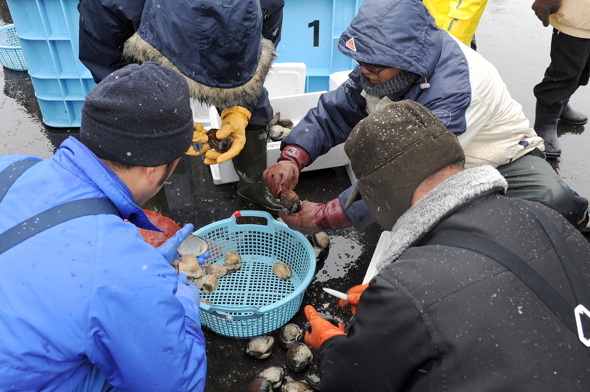 Local Japanese fishermen shell clams during a remembrance ceremony in Oirase Town, Japan, March 11, 2012. A local farmer provided homemade clam soup to volunteers, including many from Misawa Air Base's Misawa Helps organization, who helped clean up his farm after the March 11, 2011 earthquake and subsequent tsunami. (U.S. Air Force photo by Tech. Sgt. Marie Brown/Released)
