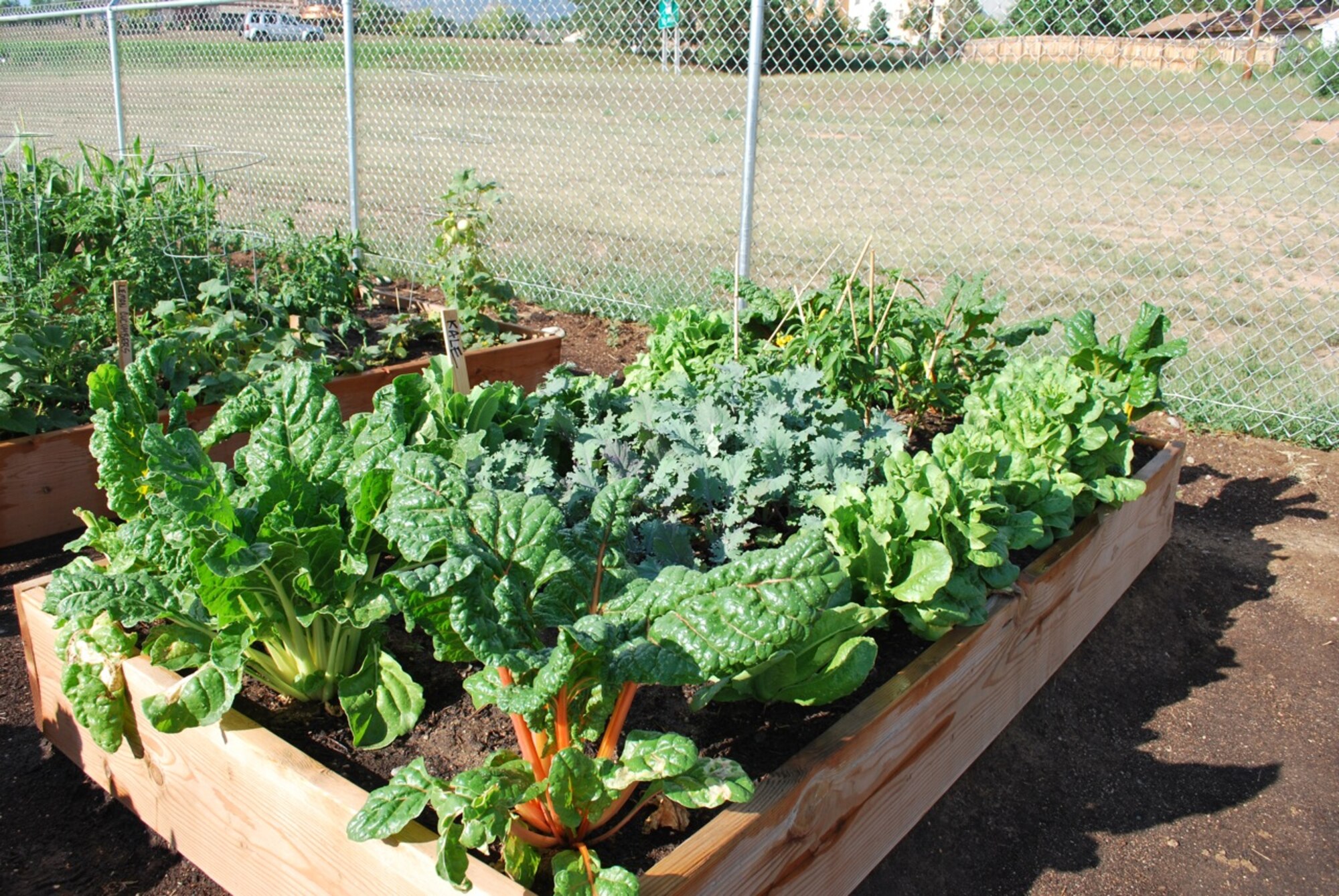 Raised beds like this one are popular among experienced gardners. Their increased height make them eaiser to maintain. (Courtesy photo)