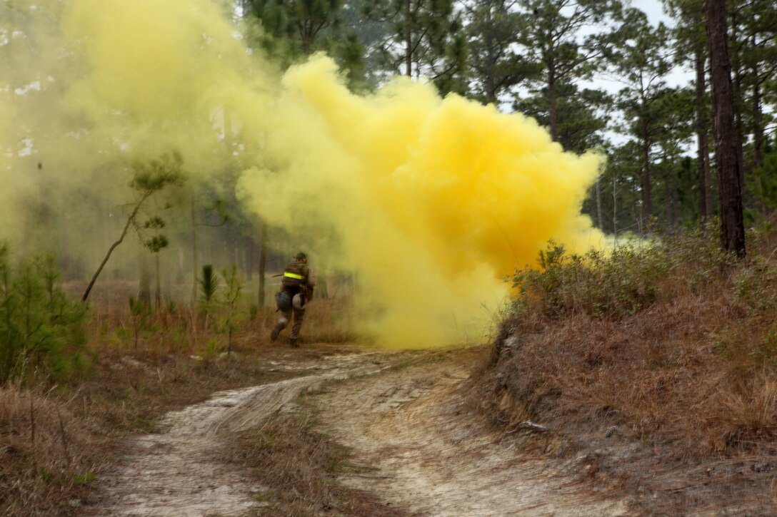 Marines with 2nd Maintenance Battalion, 2nd Marine Logistics Group run through a simulated gas attack during a squad competition aboard Camp Lejeune, N.C., March 13, 2013. The gas and smoke was released to create chaos while Marines had to properly locate and evacuate casualties. (U.S. Marine Corps photo by Cpl. Katherine M. Solano)