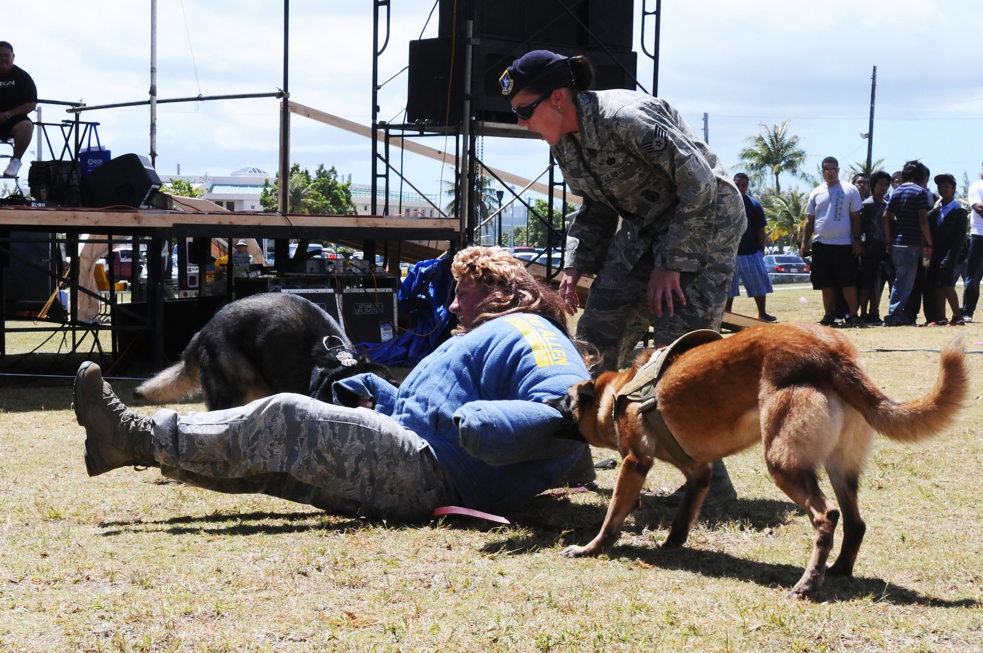 ANDERSEN AIR FORCE BASE, Guam - 36th Security Forces military workings dogs, Mike (Left) and Cila (Right), hold down a role-player after receiving commands from Staff Sgt. Tina Stelly, 36 SFS dog handler, March 13. This demonstration is just to show that two dogs can work together to apprehend a suspect. (U.S. Air Force photo/Senior Airman Carlin Leslie)
