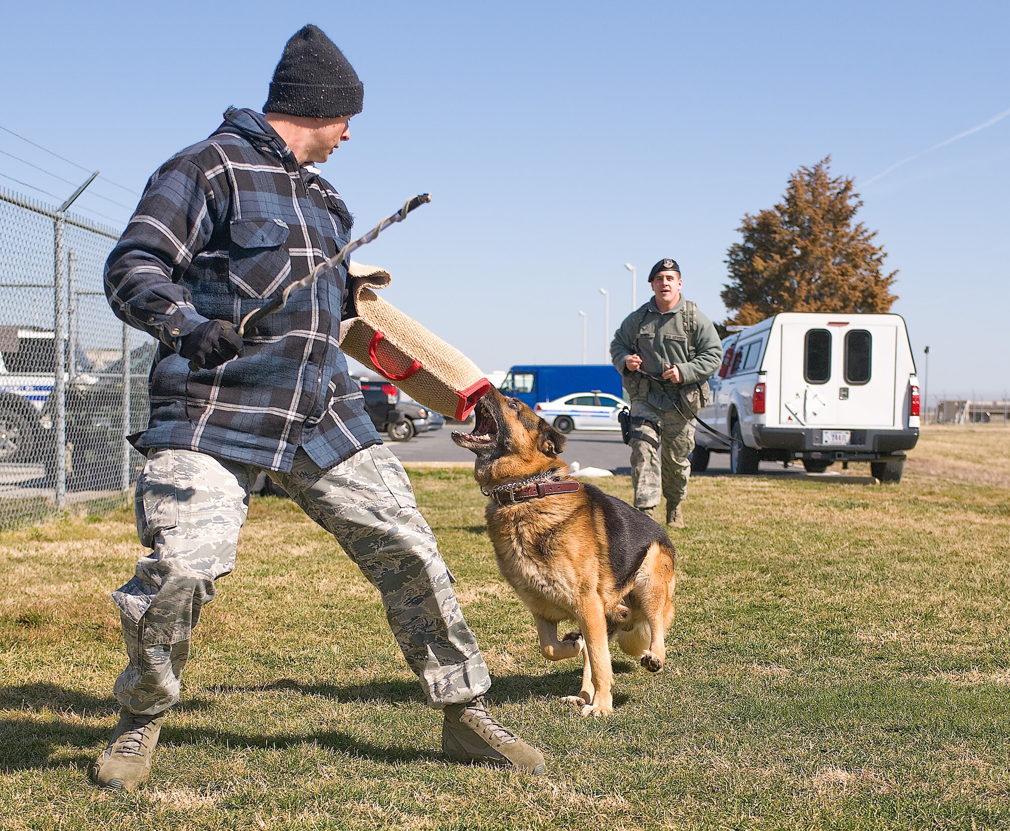 Tech. Sgt. Adam Fike, a military working dog trainer with the 436th Security Forces Squadron, braces himself from a bite from Batty, a military working dog, March 7, 2012, at Dover Air Force Base, Del. The role of the trainer is very important as it keeps the military working dogs in peak condition to perform their duties. (U.S. Air Force photo by Steve Kotecki)