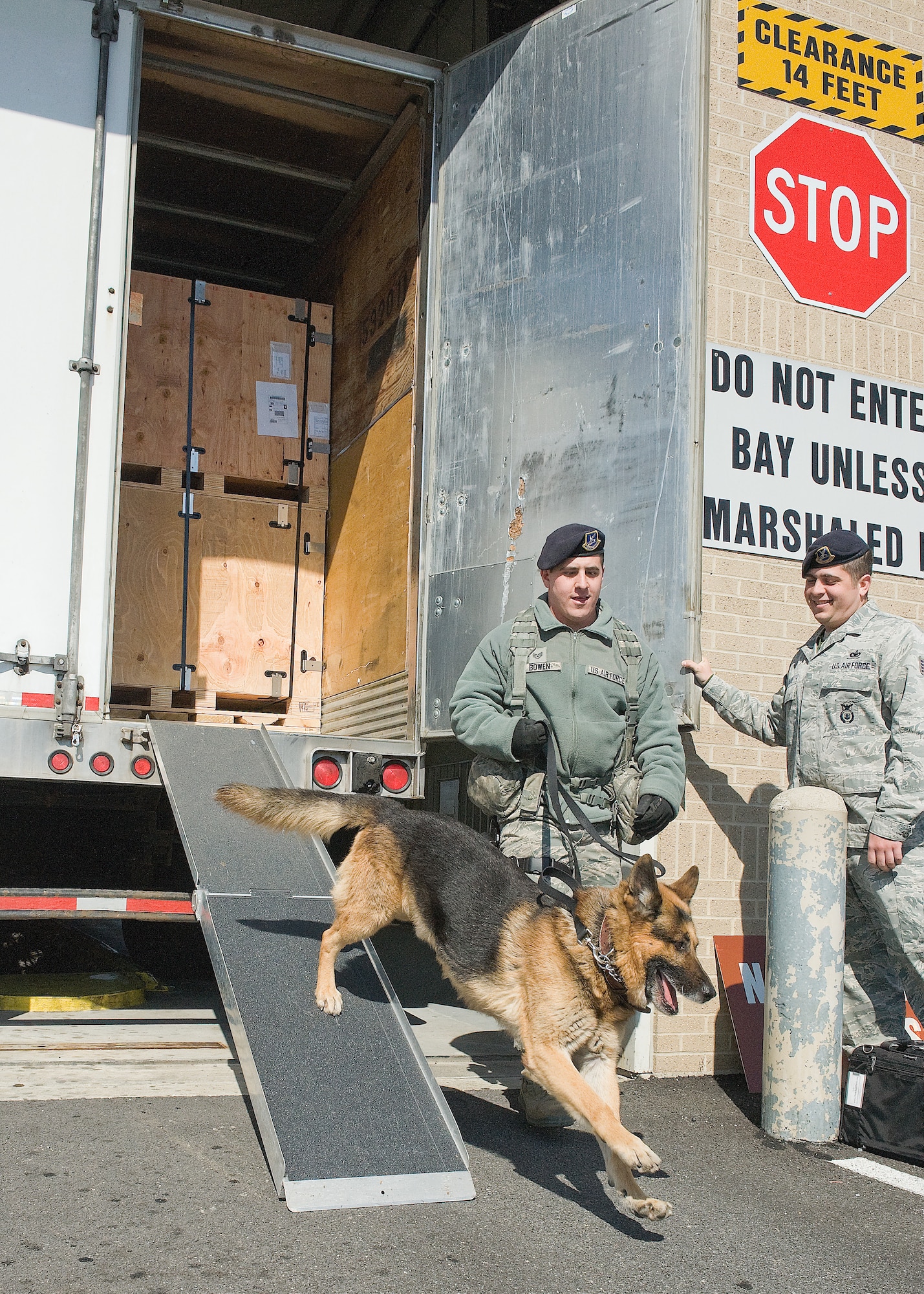 Staff Sgt. Andrew Bowen, a military working dog handler with the 436th Security Forces Squadron, guides Batty, his military working dog, down a ramp after inspecting a trailer March 7, 2012, at Dover Air Force Base, Del. Military working dogs and their handlers conduct thorough inspections of vehicles coming into the commercial gate. (U.S. Air Force photo by Steve Kotecki)