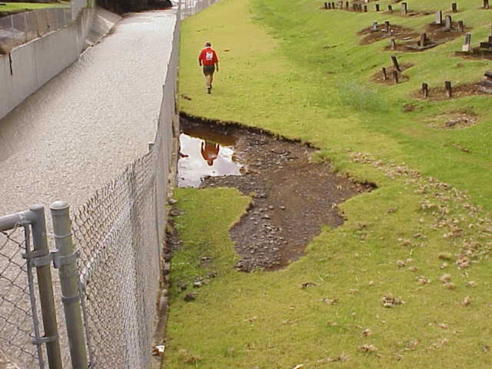 Alenaio Stream, Big Island